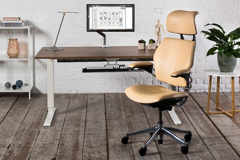 The backrest of ergonomic chairs singapore