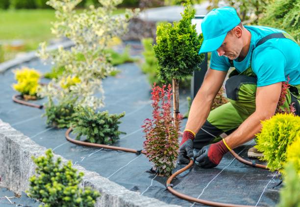 If you are looking for advice on landscaping services cost in Singapore, check out Prince Landscape today.