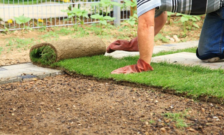 Professional Landscaping Services Available in Victoria, British Columbia