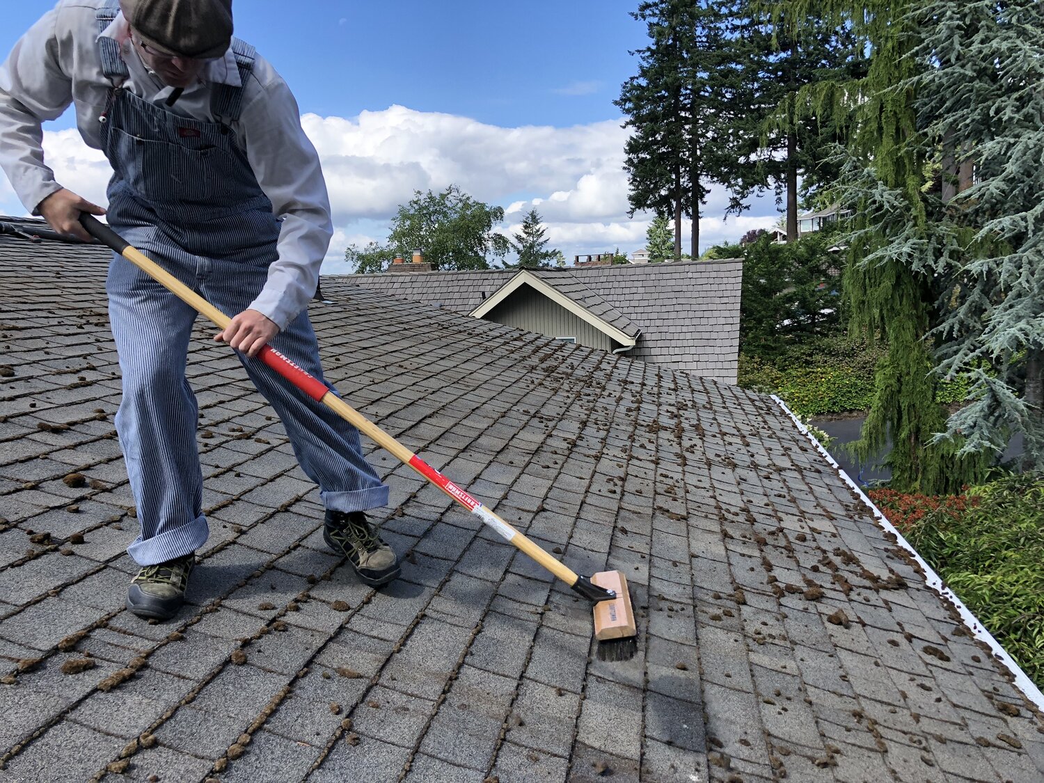 Age of the Roof and Its Part in Moss Mayhem: How Old Roofs Are More Likely to Accumulate Moss
