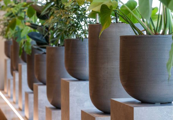 Commercial Pots