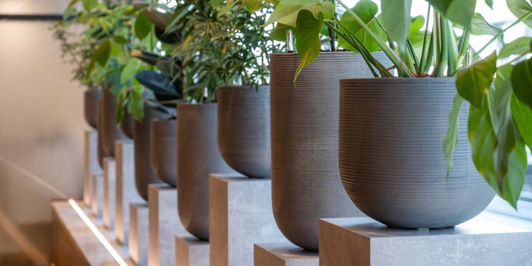 Commercial Pots